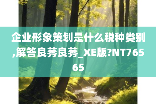 企业形象策划是什么税种类别,解答良莠良莠_XE版?NT76565