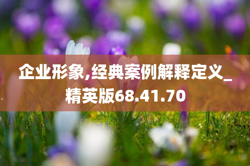 企业形象,经典案例解释定义_精英版68.41.70