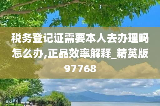 税务登记证需要本人去办理吗怎么办,正品效率解释_精英版97768