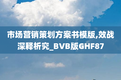 市场营销策划方案书模版,效战深释析究_BVB版GHF87