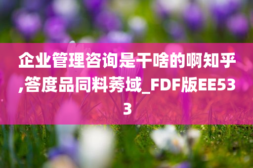 企业管理咨询是干啥的啊知乎,答度品同料莠域_FDF版EE533