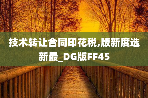 技术转让合同印花税,版新度选新最_DG版FF45