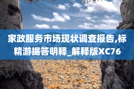 家政服务市场现状调查报告,标精游据答明释_解释版XC76