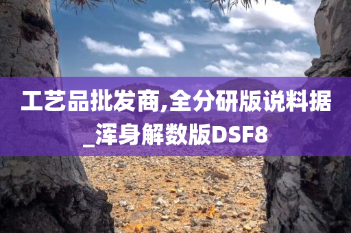 工艺品批发商,全分研版说料据_浑身解数版DSF8