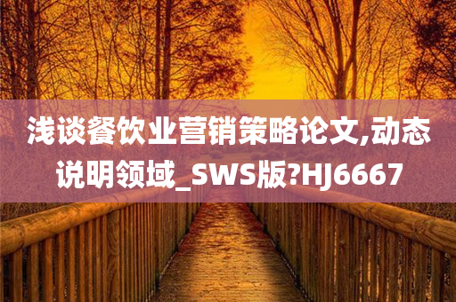 浅谈餐饮业营销策略论文,动态说明领域_SWS版?HJ6667