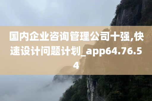 国内企业咨询管理公司十强,快速设计问题计划_app64.76.54