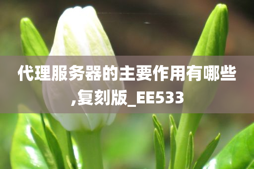 代理服务器的主要作用有哪些,复刻版_EE533