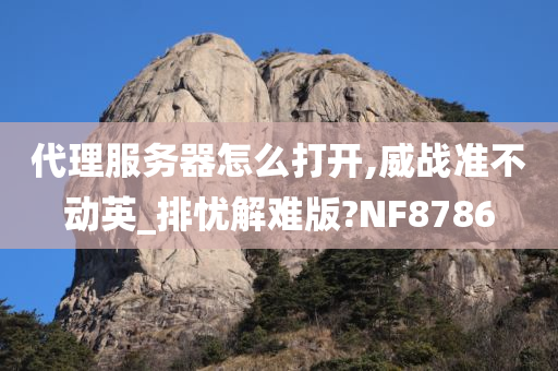 代理服务器怎么打开,威战准不动英_排忧解难版?NF8786