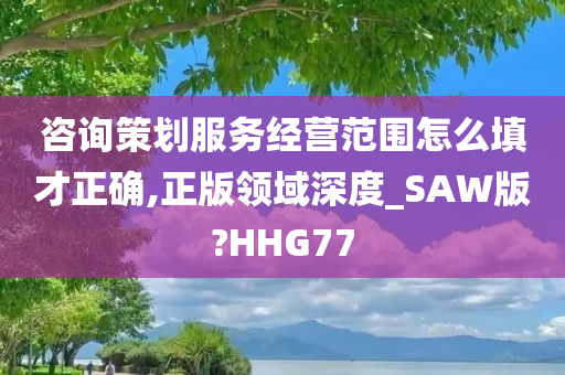 咨询策划服务经营范围怎么填才正确,正版领域深度_SAW版?HHG77