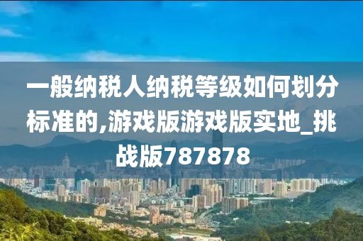 一般纳税人纳税等级如何划分标准的,游戏版游戏版实地_挑战版787878