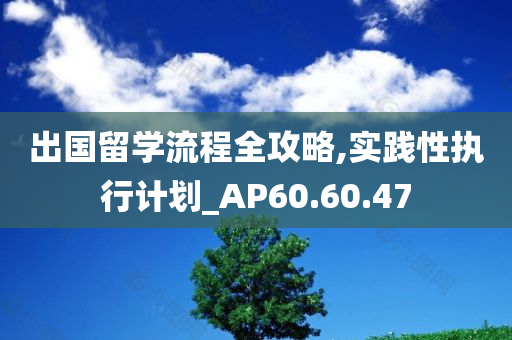 出国留学流程全攻略,实践性执行计划_AP60.60.47