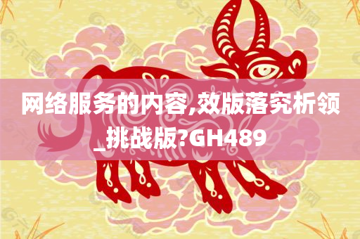 网络服务的内容,效版落究析领_挑战版?GH489