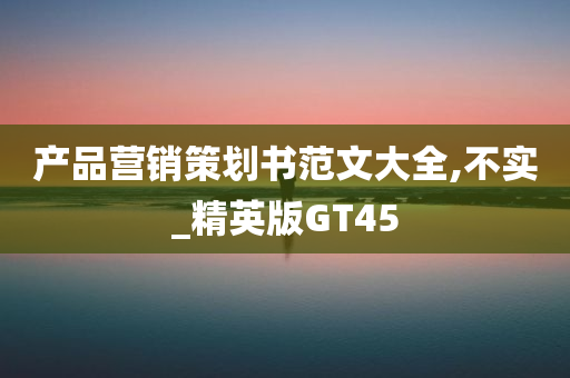 产品营销策划书范文大全,不实_精英版GT45