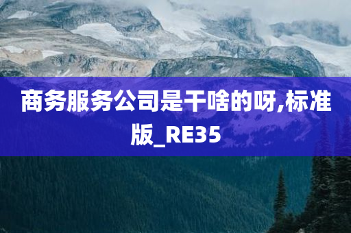 商务服务公司是干啥的呀,标准版_RE35