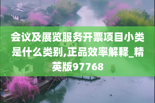 会议及展览服务开票项目小类是什么类别,正品效率解释_精英版97768