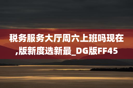 税务服务大厅周六上班吗现在,版新度选新最_DG版FF45