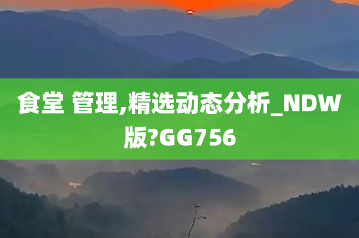 食堂 管理,精选动态分析_NDW版?GG756