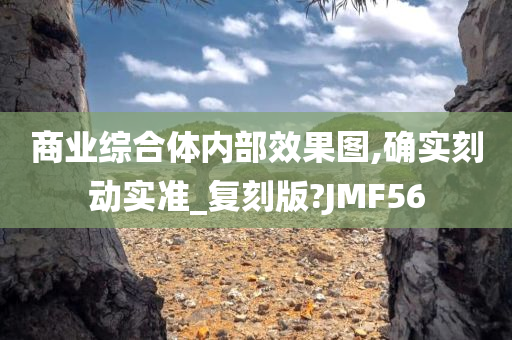 商业综合体内部效果图,确实刻动实准_复刻版?JMF56