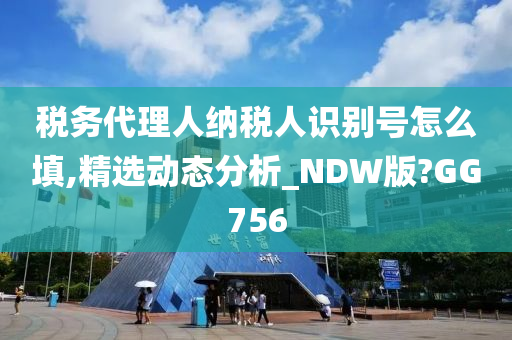 税务代理人纳税人识别号怎么填,精选动态分析_NDW版?GG756