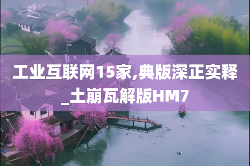 工业互联网15家,典版深正实释_土崩瓦解版HM7