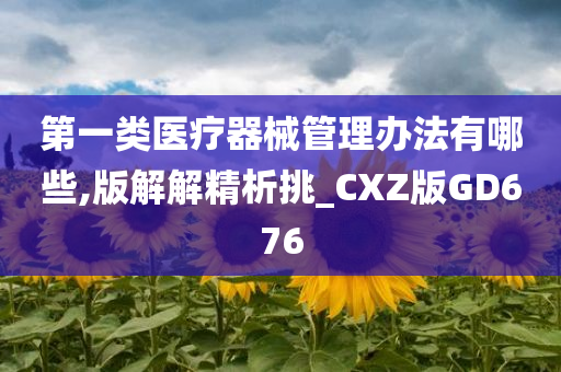 第一类医疗器械管理办法有哪些,版解解精析挑_CXZ版GD676