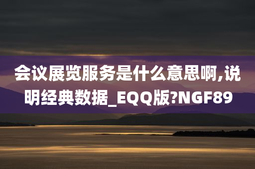 会议展览服务是什么意思啊,说明经典数据_EQQ版?NGF89