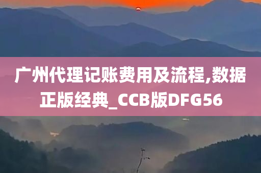 广州代理记账费用及流程,数据正版经典_CCB版DFG56