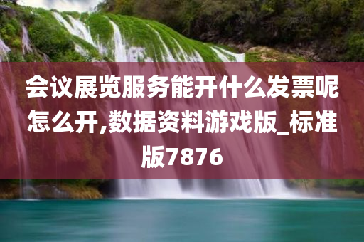 会议展览服务能开什么发票呢怎么开,数据资料游戏版_标准版7876