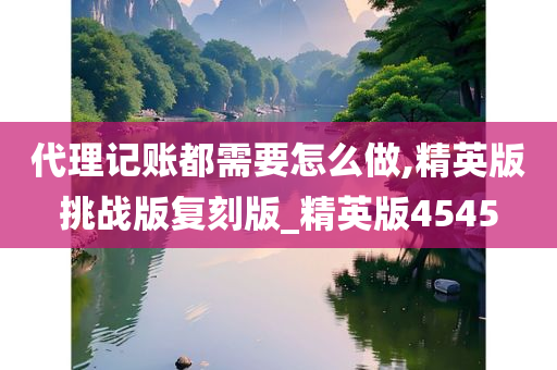 代理记账都需要怎么做,精英版挑战版复刻版_精英版4545