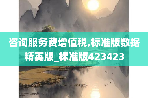 咨询服务费增值税,标准版数据精英版_标准版423423