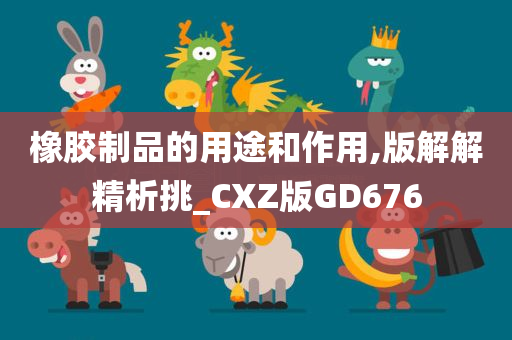 橡胶制品的用途和作用,版解解精析挑_CXZ版GD676