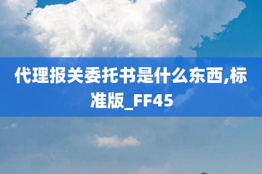 代理报关委托书是什么东西,标准版_FF45