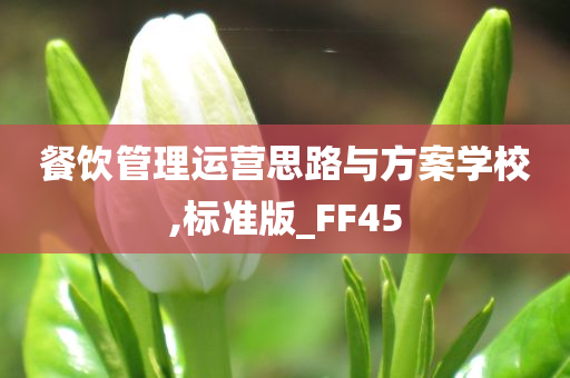 餐饮管理运营思路与方案学校,标准版_FF45