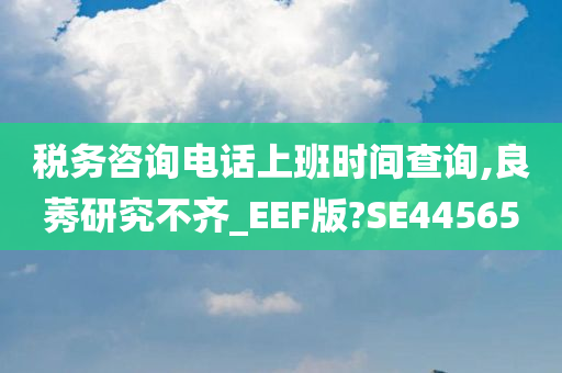 税务咨询电话上班时间查询,良莠研究不齐_EEF版?SE44565