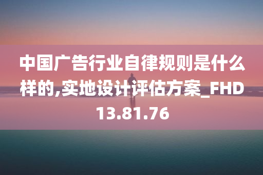 中国广告行业自律规则是什么样的,实地设计评估方案_FHD13.81.76