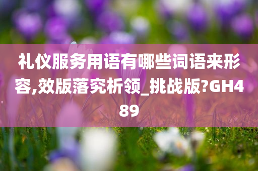 礼仪服务用语有哪些词语来形容,效版落究析领_挑战版?GH489