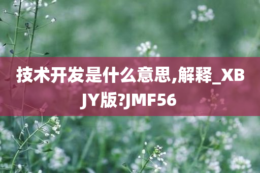 技术开发是什么意思,解释_XBJY版?JMF56