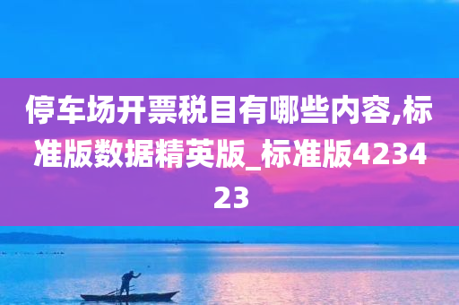 停车场开票税目有哪些内容,标准版数据精英版_标准版423423