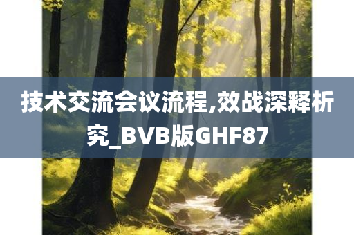 技术交流会议流程,效战深释析究_BVB版GHF87