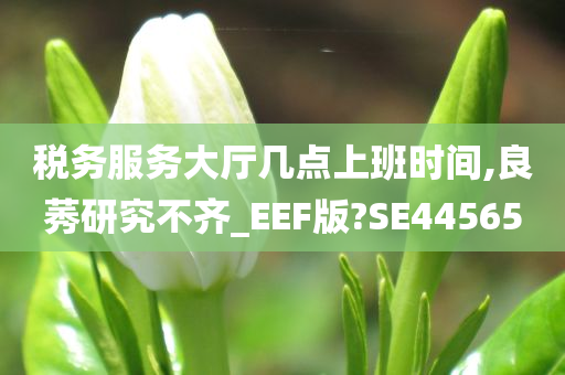 税务服务大厅几点上班时间,良莠研究不齐_EEF版?SE44565