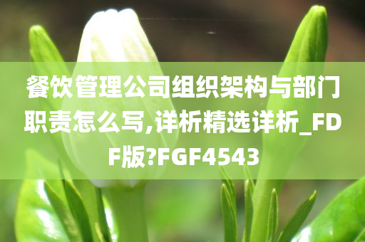 餐饮管理公司组织架构与部门职责怎么写,详析精选详析_FDF版?FGF4543