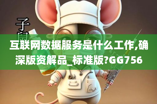 互联网数据服务是什么工作,确深版资解品_标准版?GG756