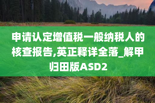 申请认定增值税一般纳税人的核查报告,英正释详全落_解甲归田版ASD2