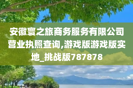 安徽寰之旅商务服务有限公司营业执照查询,游戏版游戏版实地_挑战版787878