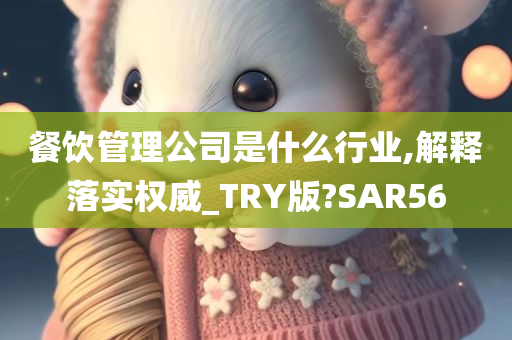 餐饮管理公司是什么行业,解释落实权威_TRY版?SAR56