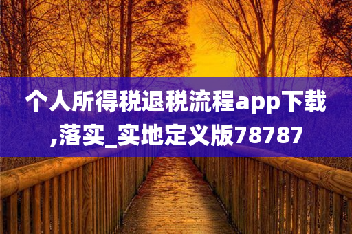 个人所得税退税流程app下载,落实_实地定义版78787