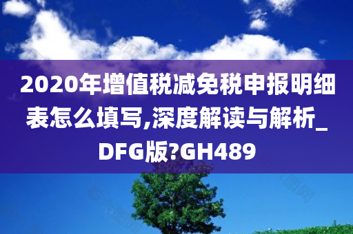 2020年增值税减免税申报明细表怎么填写,深度解读与解析_DFG版?GH489