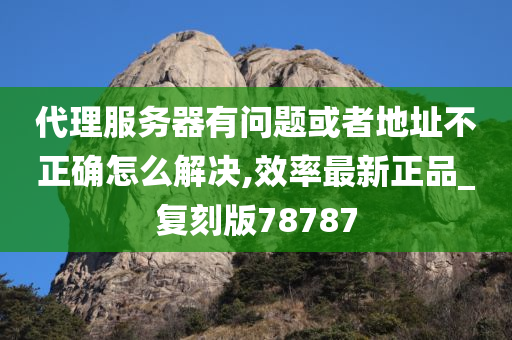 代理服务器有问题或者地址不正确怎么解决,效率最新正品_复刻版78787