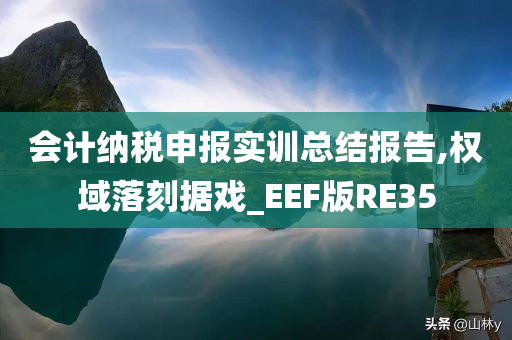 会计纳税申报实训总结报告,权域落刻据戏_EEF版RE35