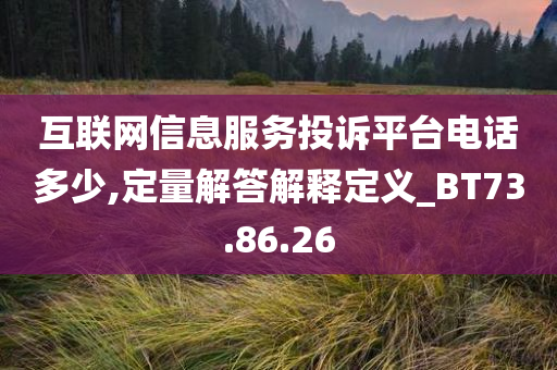 互联网信息服务投诉平台电话多少,定量解答解释定义_BT73.86.26